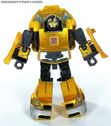 r_bumblebee-0664.jpg