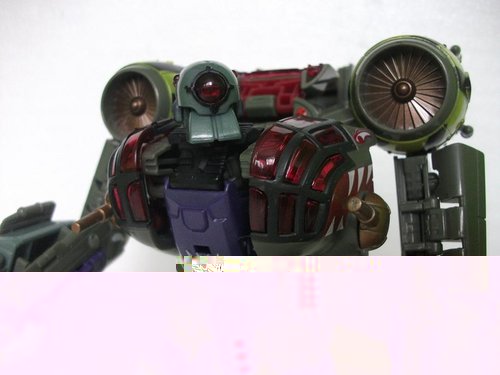 Lugnut 1.JPG