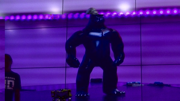 Optimus Primal .jpg