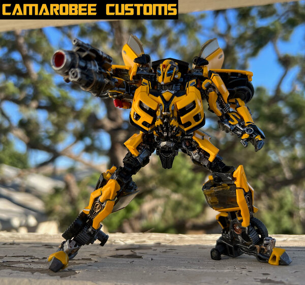 Bee bot aim.jpg