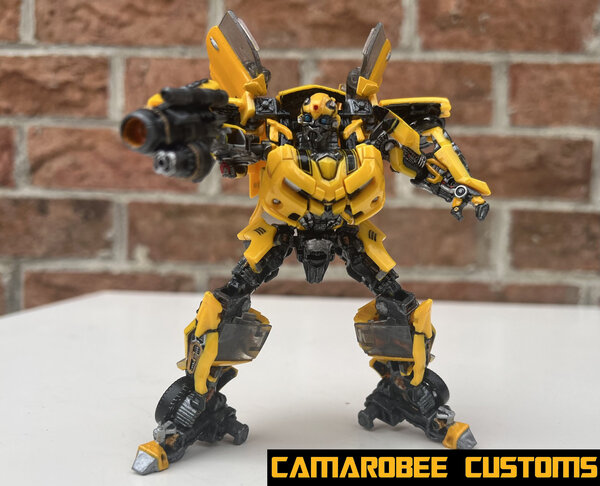 Bee cannon.jpg