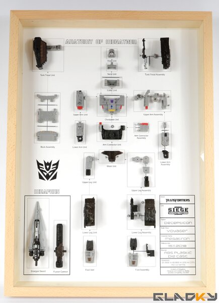 Custom Anatomy of Megatron Display Cabinet (1).jpg