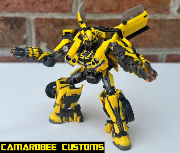 ROTB Bee bot dual cannons.jpg