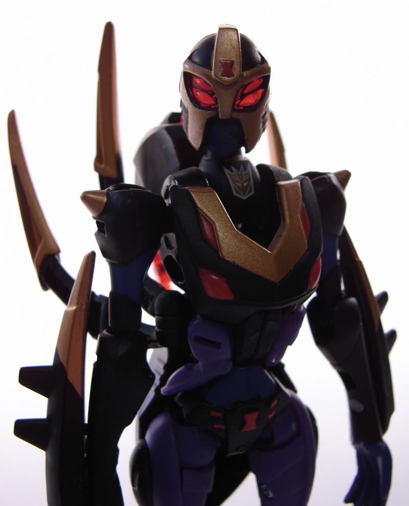 Blackarachnia ... black shadows!