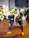 otfcc-2003-exclusives043.jpg