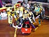 otfcc-2003-exclusives048.jpg