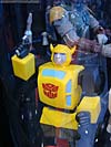 DSC09404.jpg