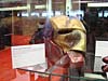DSC09408.jpg