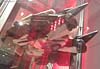 DSC07479ah.jpg