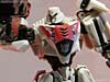DSC07484a.jpg