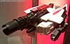 DSC07486ae.jpg