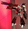 DSC07486af.jpg