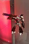 DSC07486ag.jpg