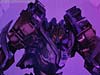 DSC07513.jpg