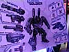 DSC07516.jpg