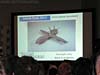 sdcc-2011-hasbro-panel-011.jpg