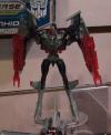 DSC05201a.jpg