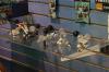 DSC05488.jpg