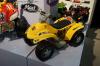 DSC05575.jpg