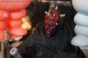 DSC05591.jpg