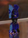 DSC06619a.jpg