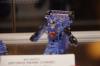 DSC07091.jpg