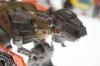 DSC01875.jpg