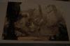 DSC01191.jpg