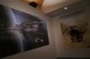 DSC01195.jpg