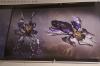 DSC01205.jpg