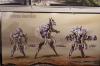 DSC01217.jpg
