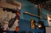 DSC01227.jpg
