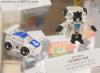 DSC01398a.jpg