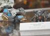 DSC02078a.jpg