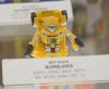 DSC02086.jpg
