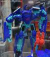 DSC06780a.jpg