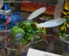 DSC06784a.jpg