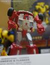 DSC06786a.jpg
