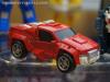 DSC06787a.jpg