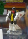 DSC06792a.jpg