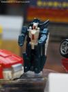 DSC06793a.jpg