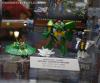 DSC06794b.jpg