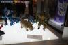 DSC06796.jpg