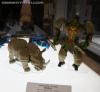 DSC06796a.jpg