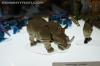 DSC06797.jpg