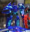 DSC02784a.jpg