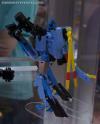 DSC02886b.jpg
