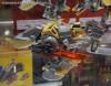 DSC02950a.jpg