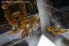 DSC02953a.jpg