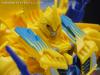 DSC02817a.jpg